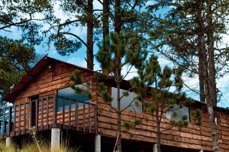CABIN